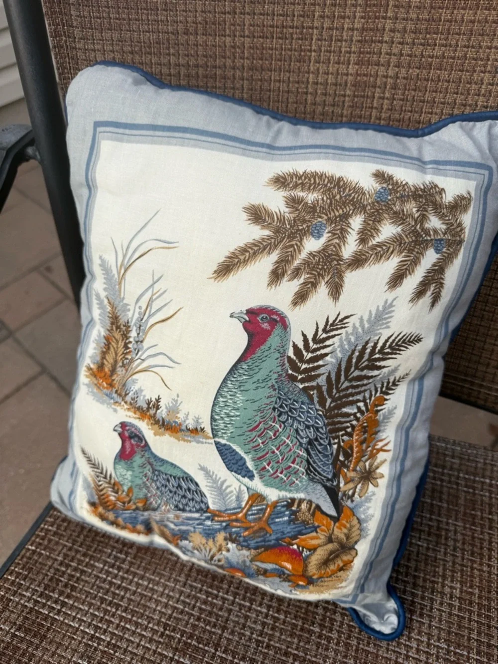 Vintage Gray Partridge  Print Decorative Pillow - Picture 2 of 6
